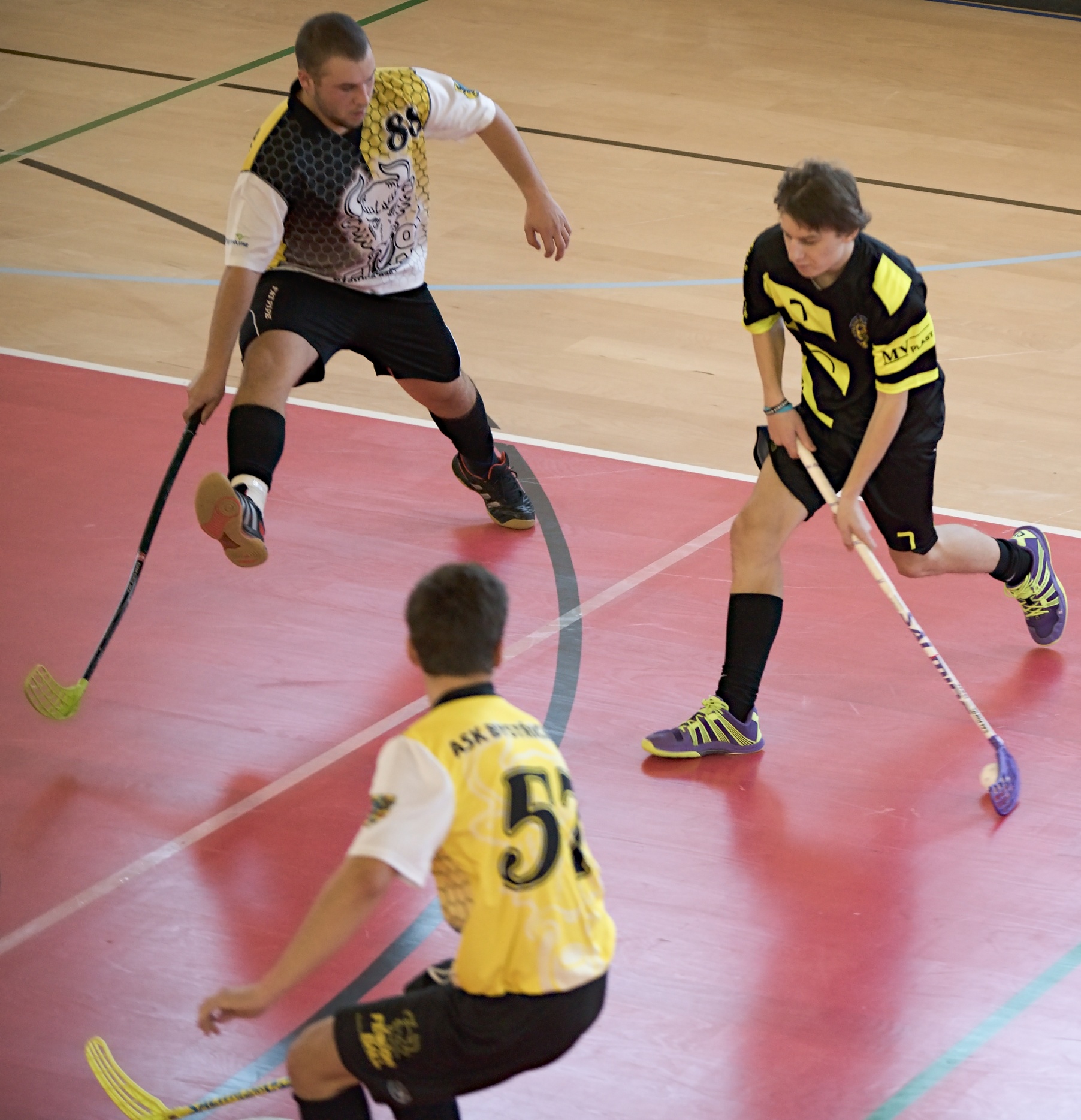 JunciLedec241015 131